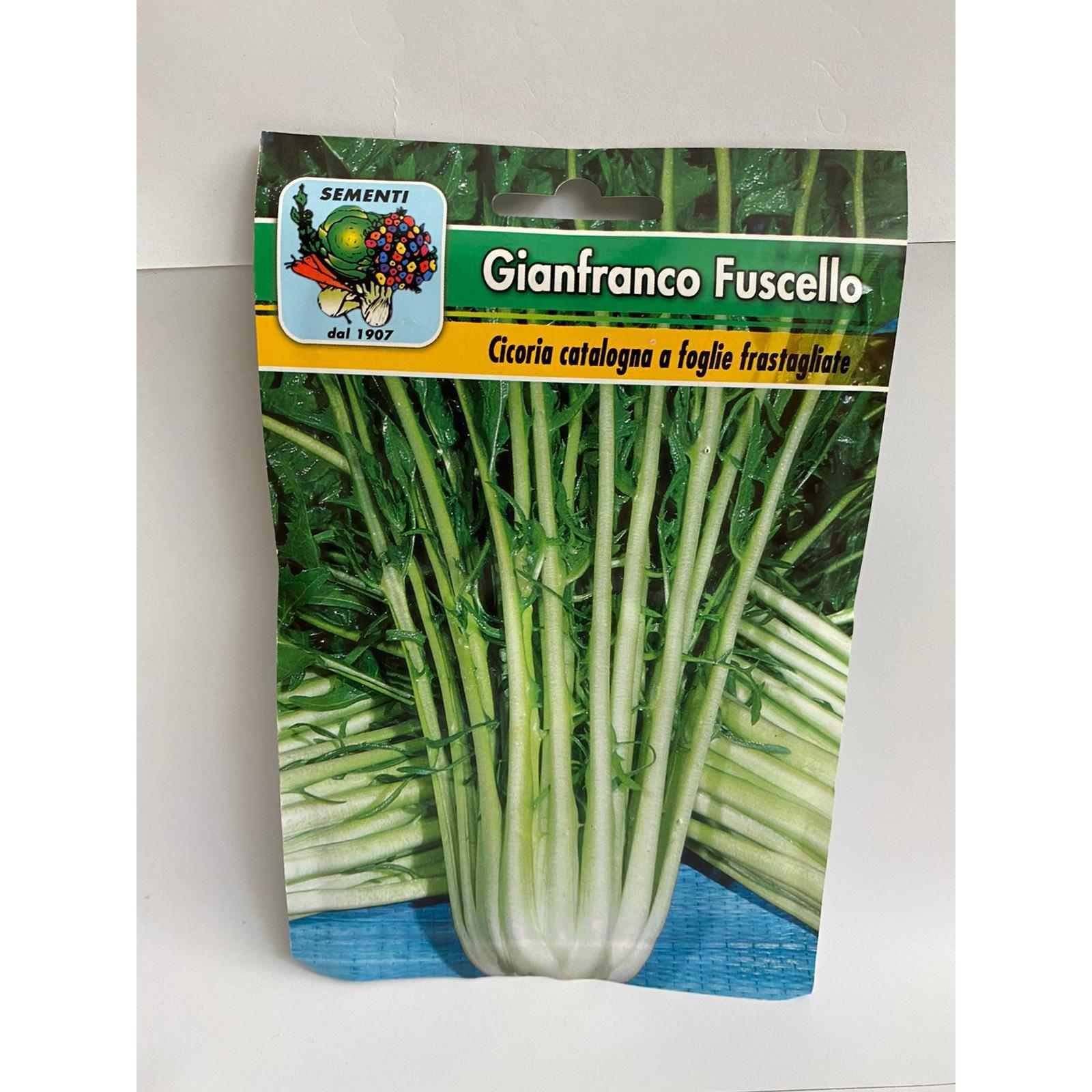 Busta da 20 gr di Semi di Cicoria catalogna a foglie frastagliate-Farmagrishop.it