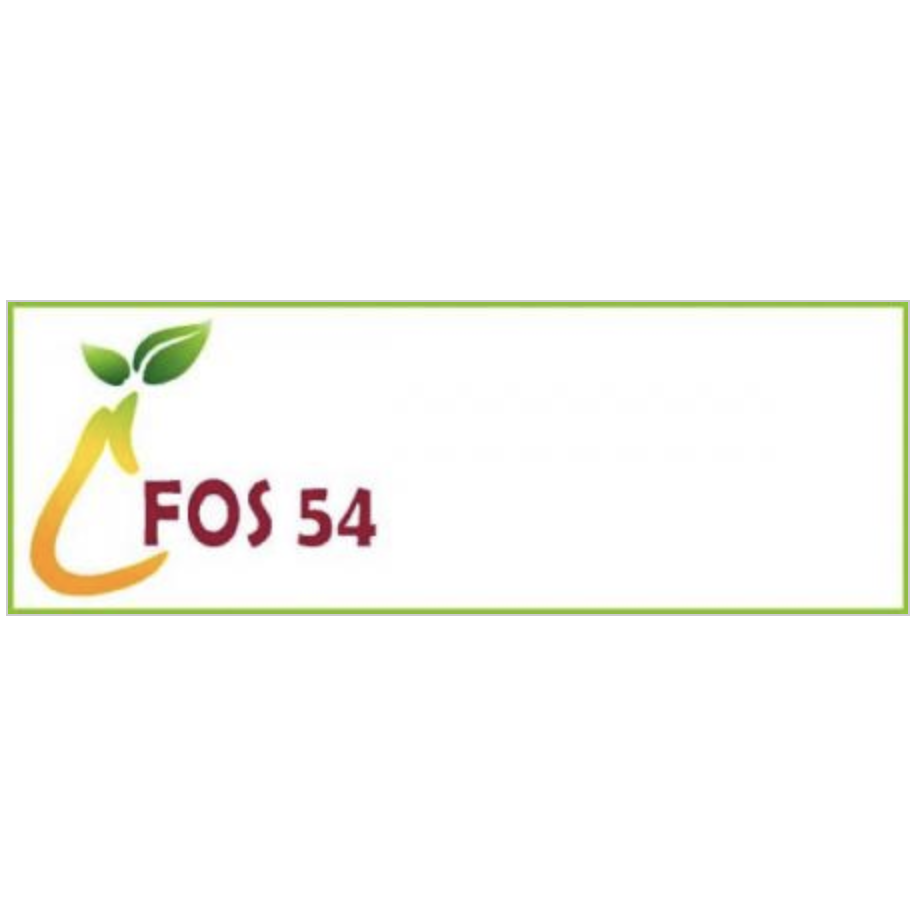 FOS 54 - concime contenente fosforo di origine ortofosforica, forma nella quale la pianta assorbe questo macroelemento-Farmagrishop.it
