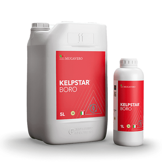 KELPSTAR BORO - biostimolante ad azione specifica contro le borocarenze