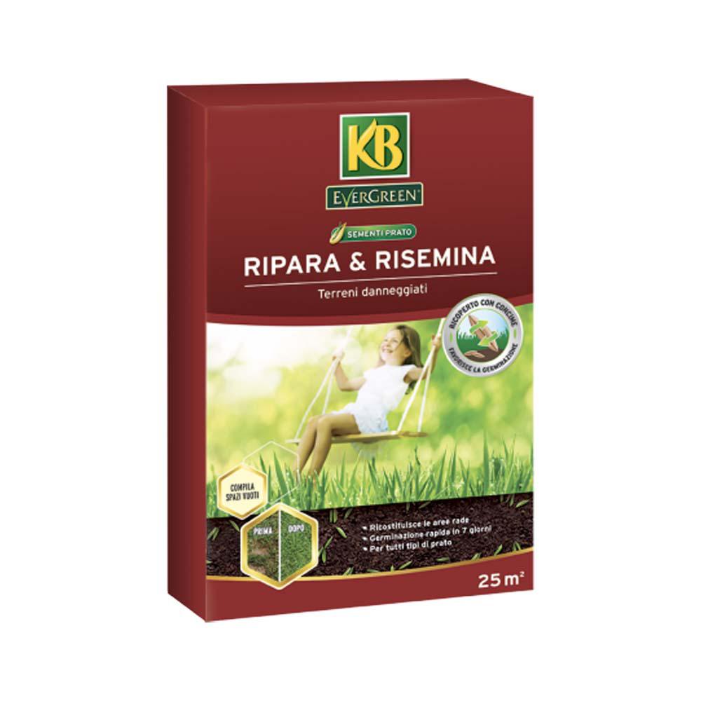 Sementi Prato Ripara & Risemina 500g
