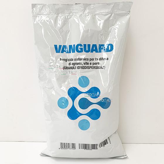 VANGUARD - Fungicida sistemico per la difesa di agrumi, vite e pero